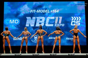 FIT-MODEL +164 раунд 1
